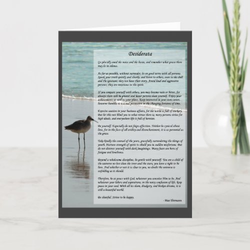 Desiderata Poem _ Seagull on the Beach Scene Card