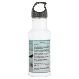 Desiderata Poem - Seagull on the Beach Scene Stainless Steel Water Bottle