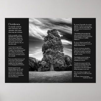 Desiderata Poem - Tree and Pavilions Poster