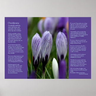 Desiderata Poem - Variegated Spring Crocuses Poster