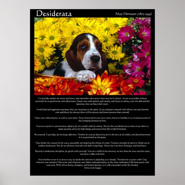 Desiderata Posters 6 (Front)