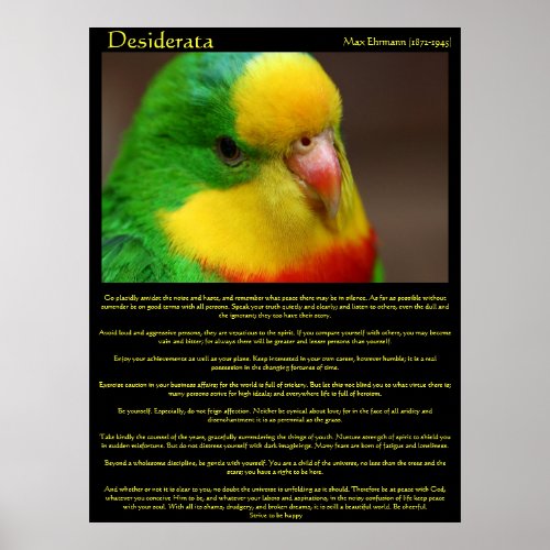 Desiderata Rainbow Canary Posters