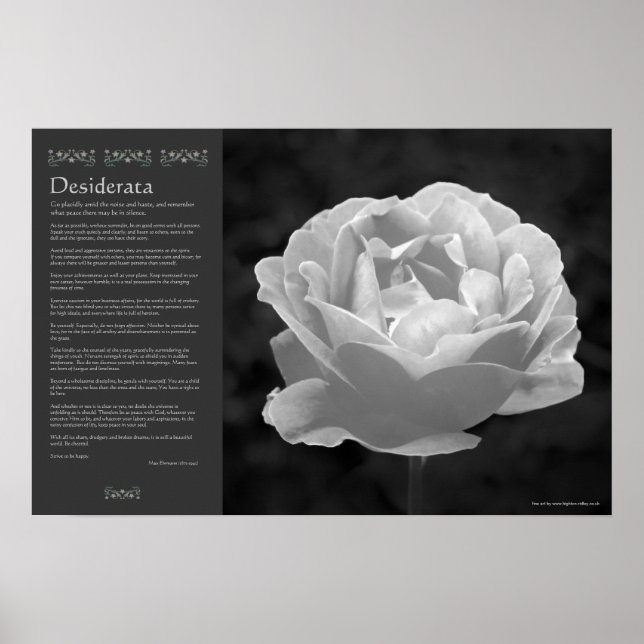 Desiderata - Rose in Black and White Poster (Front)