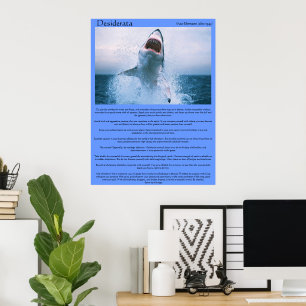 Desiderata Shark Leaping Out Of The Water Poster