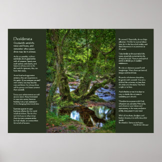 Desiderata - Spitchwick Creek Trees Poster