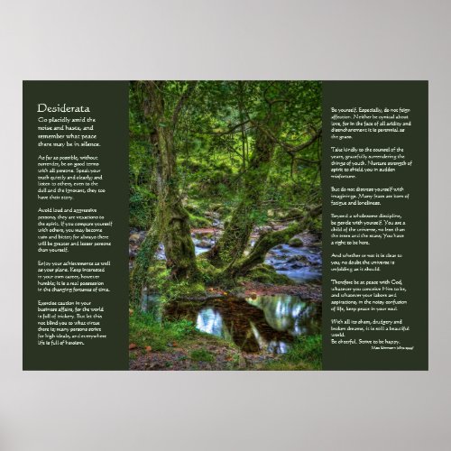 Desiderata _ Spitchwick Creek Trees Poster