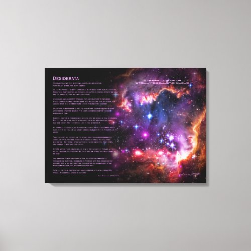 Desiderata Starry Wingtip Small Magellanic Cloud Canvas Print