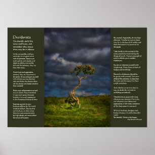 Desiderata - The Last Survivor Poster