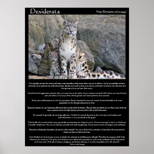 Desiderata  two cheetahs in the mountain poster