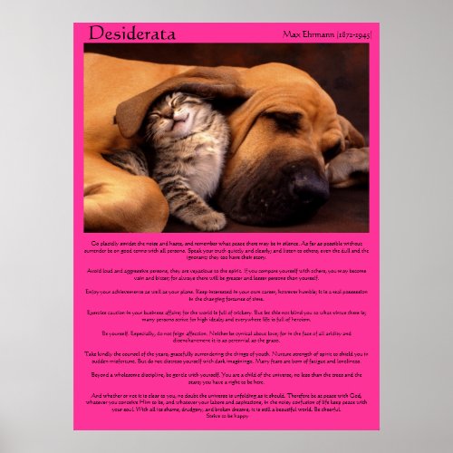 Desiderata under the beagle ear sleeping Posters