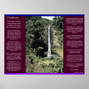 DESIDERATA Waterfalls Posters 6