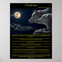 Desiderata white wolfs on a mountain side poster