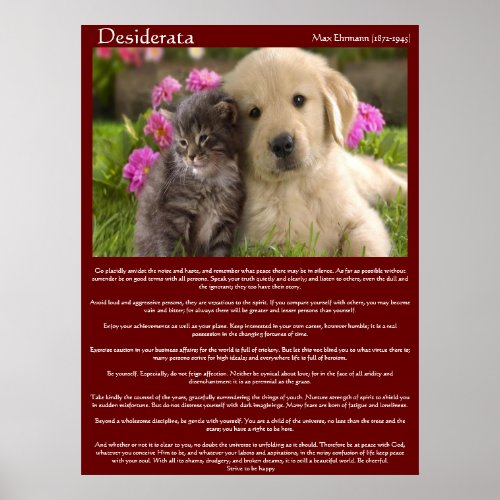 Desiderata Young Love Fight Posters