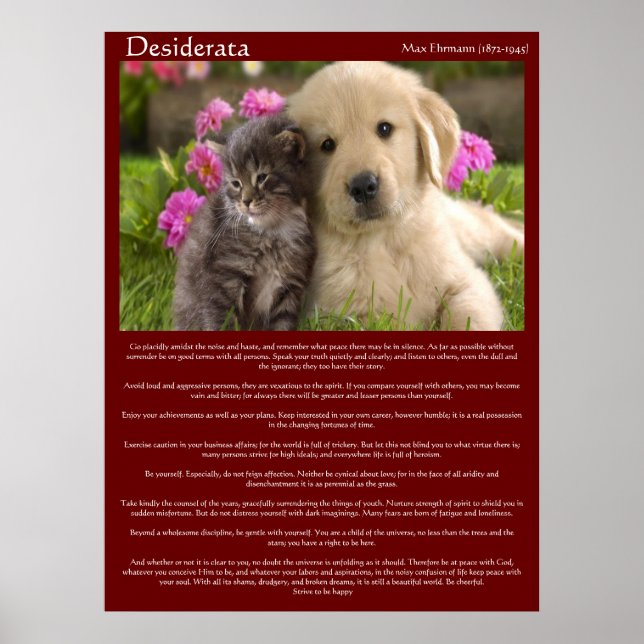 Desiderata Young Love Fight Posters (Front)