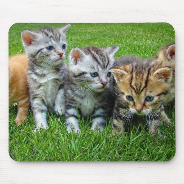 Design - Cute kittens Mouse Pad (Front)