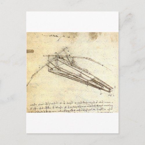 Design for a Flying Machine by Leonardo Da Vinci Postcard