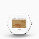 Design For A Flying Machine (Leonardo da Vinci) Award<br><div class="desc">All fans of flight and Leonardo da Vinci will enjoy any of these gifts featuring an illustration by Renaissance genius da Vinci known as "Design For A Flying Machine",  circa 1505.</div>