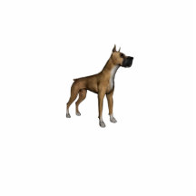 Design High Quality Custom Acrylic Photo Statuette