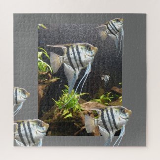Design Puzzle: Tropical Striped Fish Jigsaw Puzzle