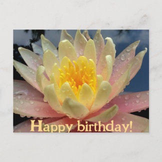 Design/Water Lily, Nymphaeum/Happy Birthday/ Holiday Postcard