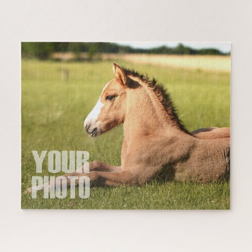 Design Your Own 20x16520 Pieces Custom Pet Photo Jigsaw Puzzle