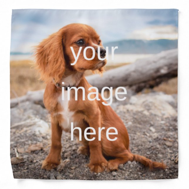 DESIGN YOUR OWN BANDANA (Front)