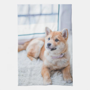 Design Your Own Dog Puppy Photo Kitchen Towel