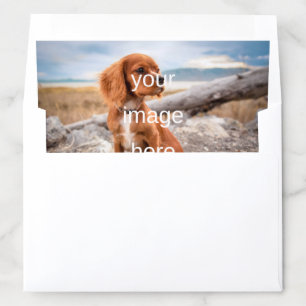 DESIGN YOUR OWN ENVELOPE LINER