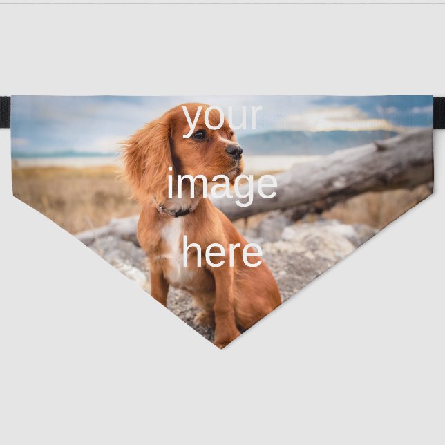 DESIGN YOUR OWN PET BANDANA COLLAR (Front)