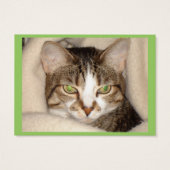 Design your own pet card (Back)