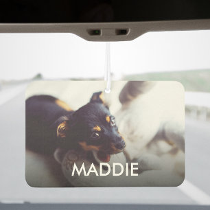 Design Your Own Pets Photo And Name Personalized Air Freshener