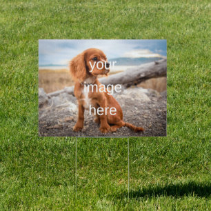 DESIGN YOUR OWN SIGN