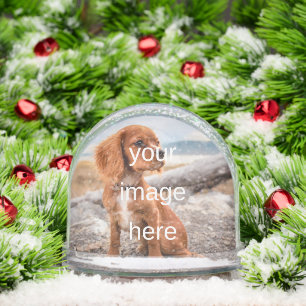 DESIGN YOUR OWN SNOW GLOBE