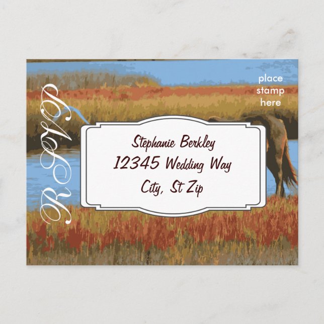 Design Your Own Wedding RSVP Postcards (Front)