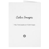 Designer Fingernails (Back)