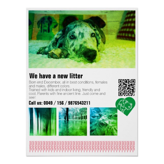 Designer Great Dane Puppy Poster (Front)
