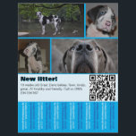 Designer Puppy Selling Flyer 4 pictures<br><div class="desc">Still don’t have a flyer? Or no idea where to get one? Here's your solution! This flyer is available in multiple formats and can be easily customized to fit your needs. The back side can be designed with a photo or the stylish dog pattern shown—so it looks good even when...</div>