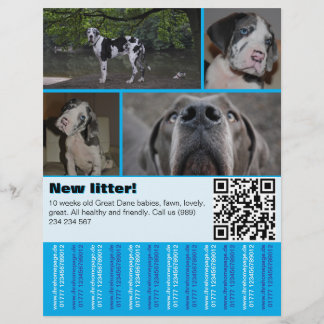 Designer Puppy Selling Flyer 4 pictures