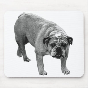 Desk Calm Bulldog Mouse Pad
