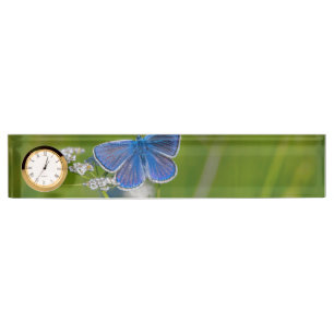  Desk   Desk Name Plate