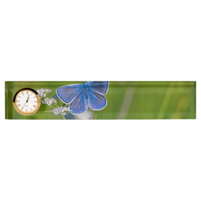  Desk   Desk Name Plate (Front)