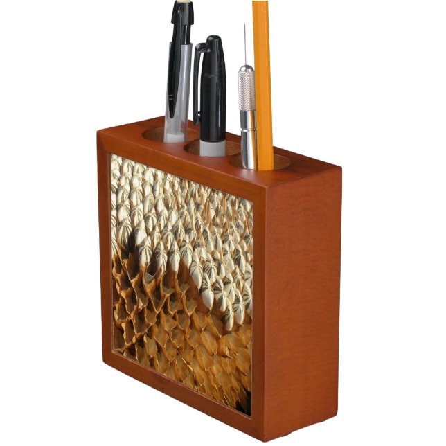 Desk Organizer - Dried Sunflower Head (In Situ)