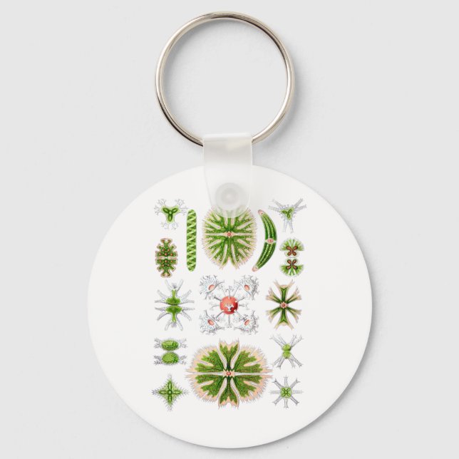 Desmids Keychain (Front)
