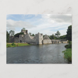 Desmond Castle Postcard