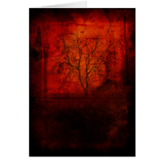 Desolate Cards