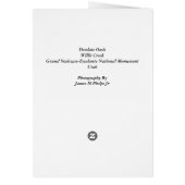 Desolate Oasis (Back)