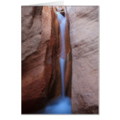 Desolate Oasis (Front)