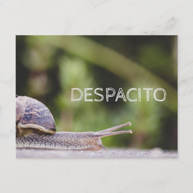 despacito postcard (Front)