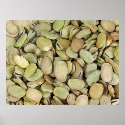 Dessicated Broad Beans Poster