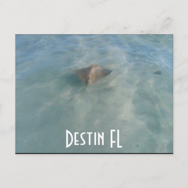 Destin FL Postcard (Front)